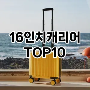 16인치캐리어 추천 TOP10