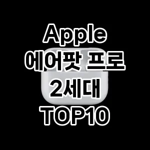 Apple 에어팟 프로 2세대 추천 TOP10