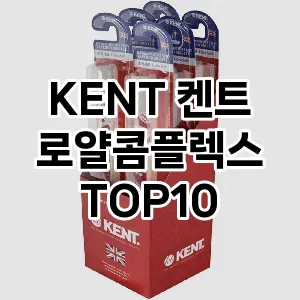 KENT 켄트 로얄콤플렉스 추천 TOP10