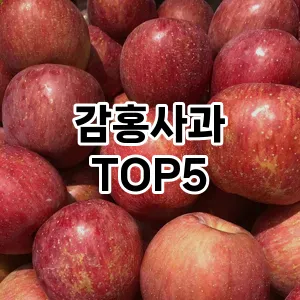 감홍사과 추천 TOP5