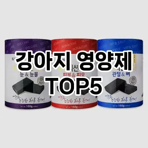 강아지 영양제 추천 TOP5