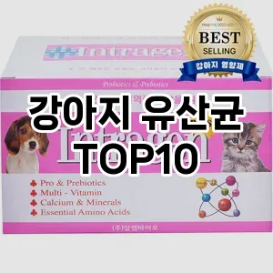 강아지 유산균 추천 TOP10