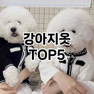 강아지옷 추천 TOP5