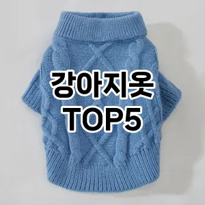 강아지옷 추천 TOP5