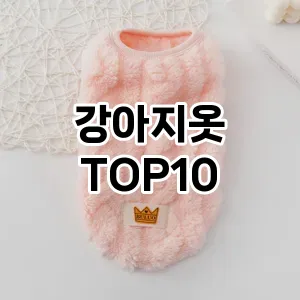 강아지옷 추천 TOP10