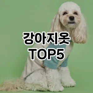 강아지옷 추천 TOP5가장많이 팔린상품