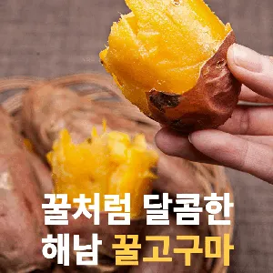 해남 꿀고구마 베니하루카 3kg 5kg 10kg, 10kg, 1개