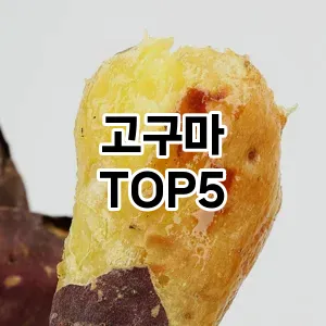 고구마 추천 TOP5