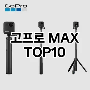 고프로 MAX 추천 TOP10