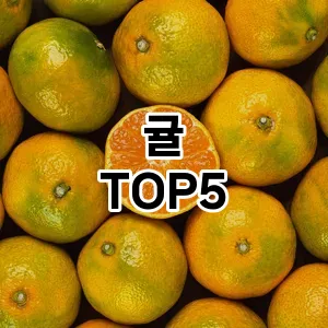 귤 추천 TOP5