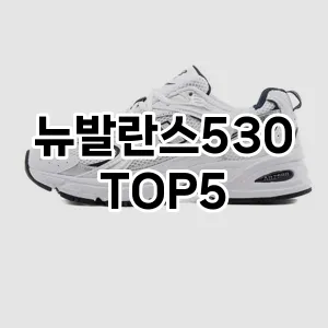 뉴발란스530 추천 TOP5