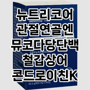 뉴트리코어 관절연골엔 뮤코다당단백 철갑상어 콘드로이친K 1200 저분자 상어 연골 WCS 추천 TOP5