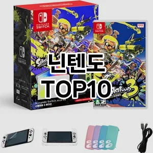 닌텐도 추천 TOP10