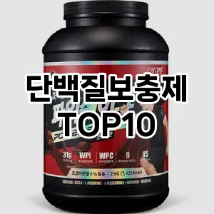 단백질보충제 추천 TOP10