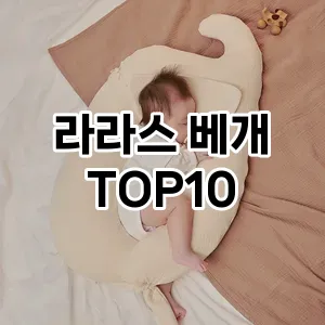 라라스 베개 추천 TOP10