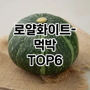 로얄화이트-먹박 추천 TOP6가성비