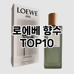 로에베 향수 추천 TOP10