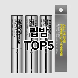 립밤 추천 TOP5가장많이 팔린상품