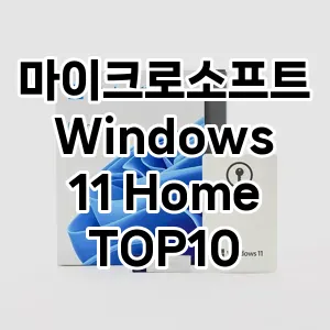 마이크로소프트 Windows 11 Home 추천 TOP10