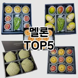 멜론 추천 TOP5