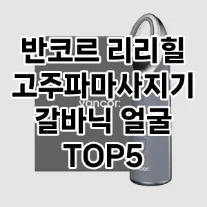 반코르 리리힐 고주파마사지기 갈바닉 얼굴 추천 TOP5