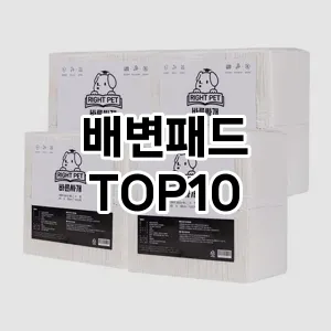 배변패드 추천 TOP10