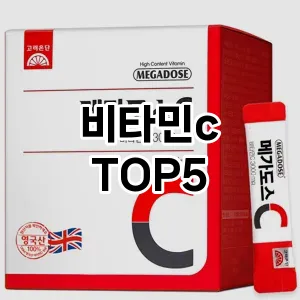 비타민c 추천 TOP5