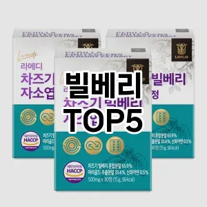 빌베리 추천 TOP5