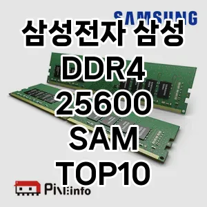 삼성전자 삼성 DDR4 25600 SAM 추천 TOP10