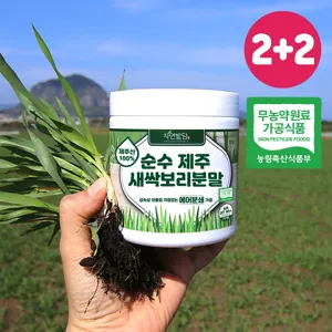 순수 제주 새싹보리 분말 에어분쇄 저온건조 보리어린잎 자연밭담, 170g, 4개