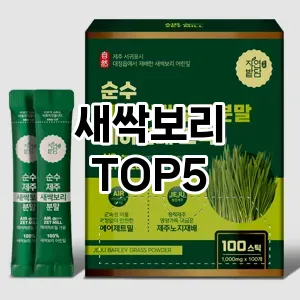 새싹보리 추천 TOP5