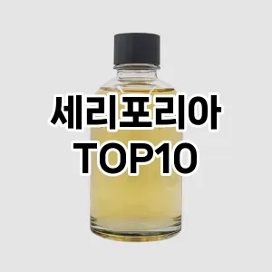 세리포리아 추천 TOP10