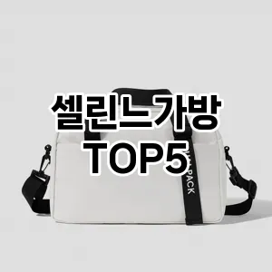 셀린느가방 추천 TOP5