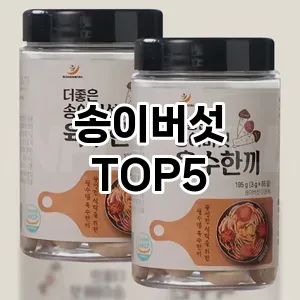 송이버섯 추천 TOP5