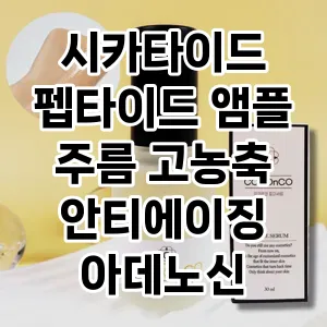 시카타이드 펩타이드 앰플 주름 고농축 안티에이징 아데노신 30ml 추천 TOP10