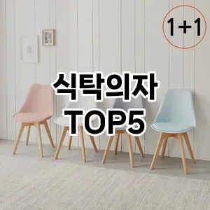 식탁의자 추천 TOP5