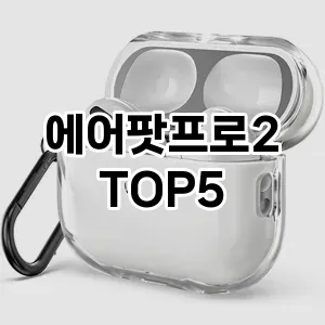 에어팟프로2 추천 TOP5