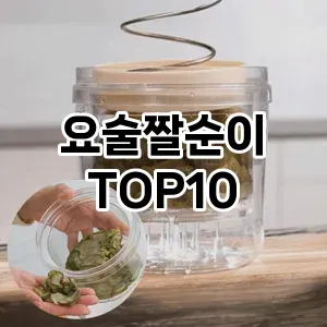 요술짤순이 추천 TOP10