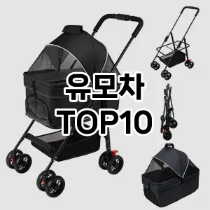 유모차 추천 TOP10