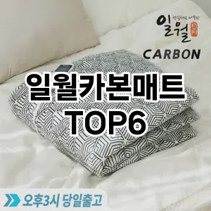 일월카본매트 추천 TOP6가성비