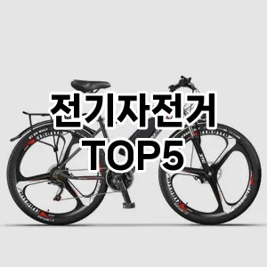 전기자전거 추천 TOP5