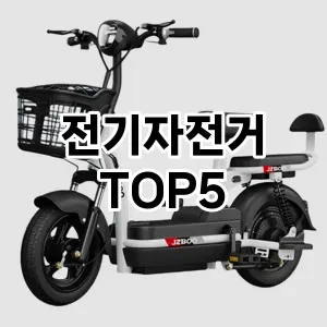 전기자전거 추천 TOP5