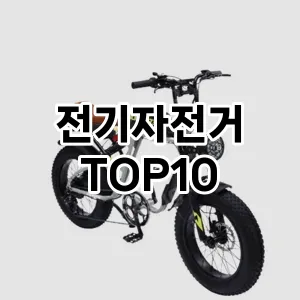 전기자전거 추천 TOP10