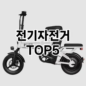 전기자전거 추천 TOP5가성비