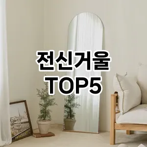 전신거울 추천 TOP5