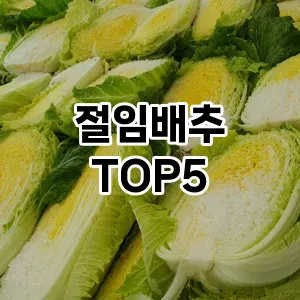 절임배추 추천 TOP5