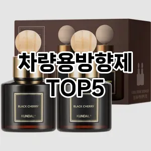 차량용방향제 추천 TOP5