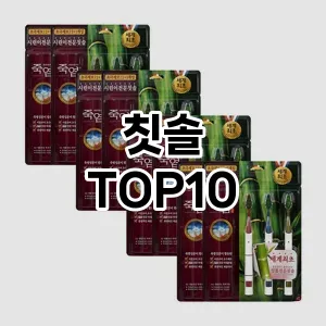 칫솔 추천 TOP10