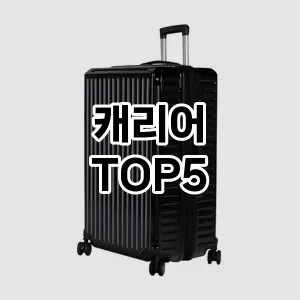 캐리어 추천 TOP5