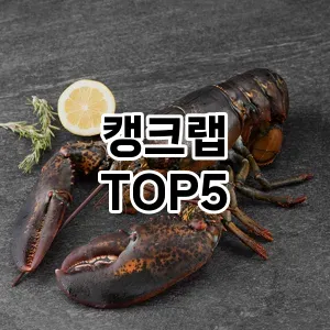 캥크랩 추천 TOP5